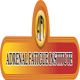 AFI Logo 2