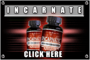 Incarnate
