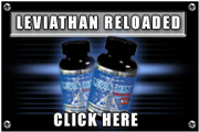 Leviathan Reloaded